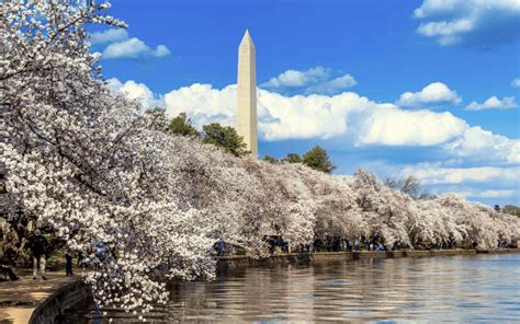 affordable areas around dc